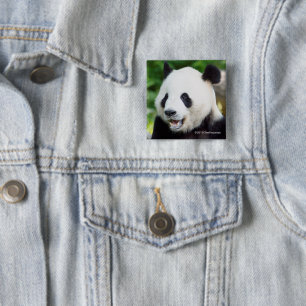 Giant Panda Eating Bamboo 15 Cm Square Badge