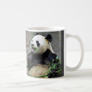Giant panda eating bamboo coffee mug