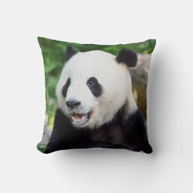 Giant Panda Eating Bamboo Cushion (Front)