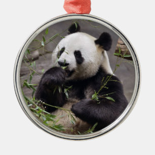 Giant panda eating bamboo metal tree decoration
