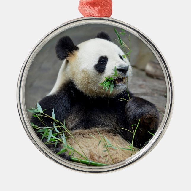 Giant panda eating bamboo metal tree decoration (Front)