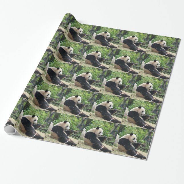 Giant panda eating bamboo. wrapping paper (Unrolled)