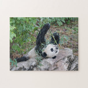 Giant Panda Enjoying Life Puzzle