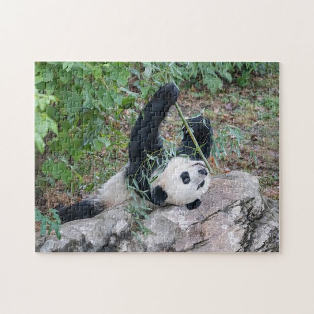 Giant Panda Enjoying Life Puzzle (Horizontal)