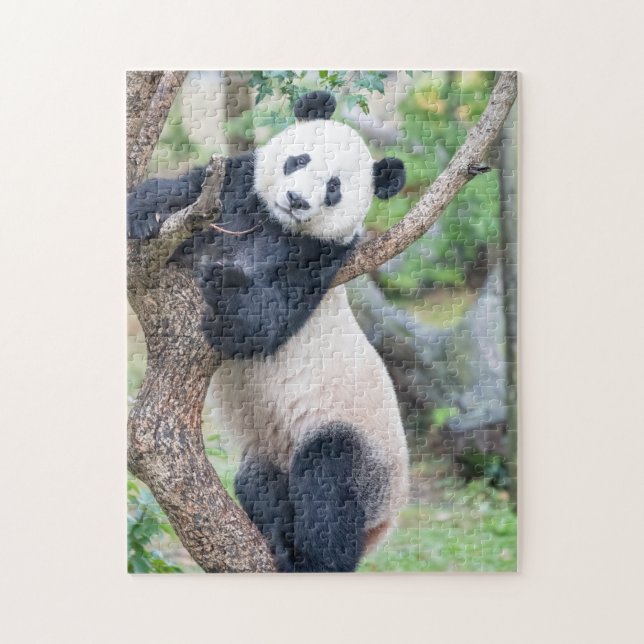 Giant Panda Hanging Out In A Tree Puzzle (Vertical)