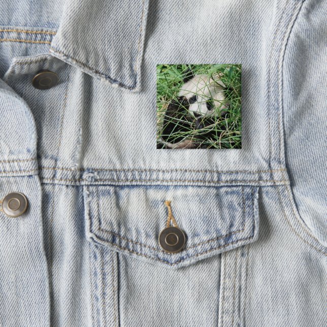Giant Panda Hiding In Grass 15 Cm Square Badge (In Situ)