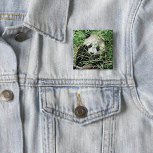 Giant Panda Hiding In Grass 15 Cm Square Badge