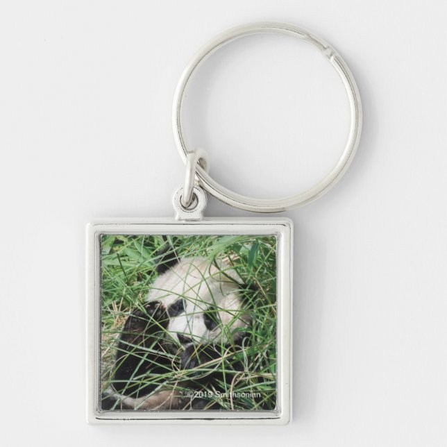 Giant Panda Hiding In Grass Key Ring (Front)