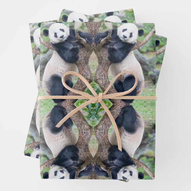 Giant Panda in a Tree Wrapping Paper Sheets (In situ)