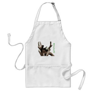 Giant panda in a wild animal zoo photography. standard apron