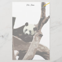 Giant panda in a wild animal zoo photography.