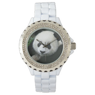 Giant Panda in Quiet Green Meadow Watch