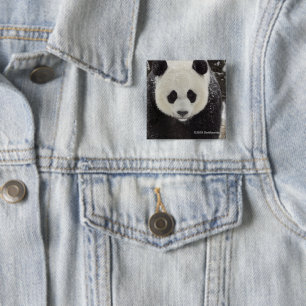 Giant Panda in Snow 15 Cm Square Badge