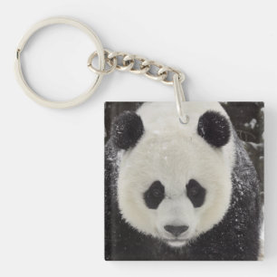 Giant Panda in Snow Key Ring
