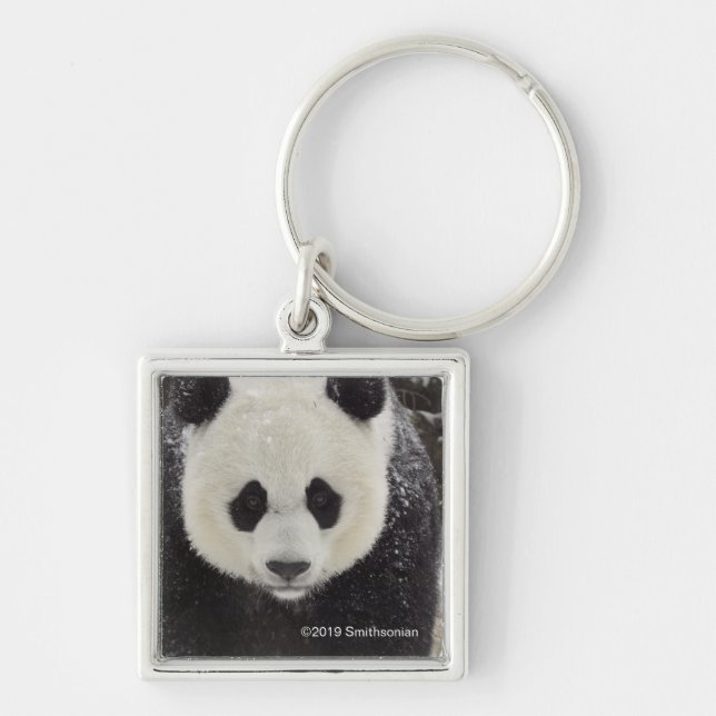 Giant Panda in Snow Key Ring (Front)