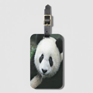 Giant Panda in Soft Green Grass Luggage Tag