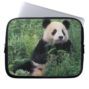 Giant panda in the grass, Wolong Valley, Sichuan Laptop Sleeve