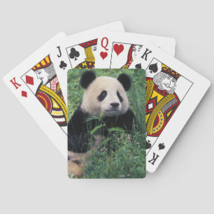 Giant panda in the grass, Wolong Valley, Sichuan Playing Cards
