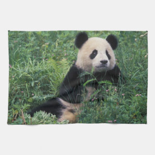 Giant panda in the grass, Wolong Valley, Sichuan Tea Towel