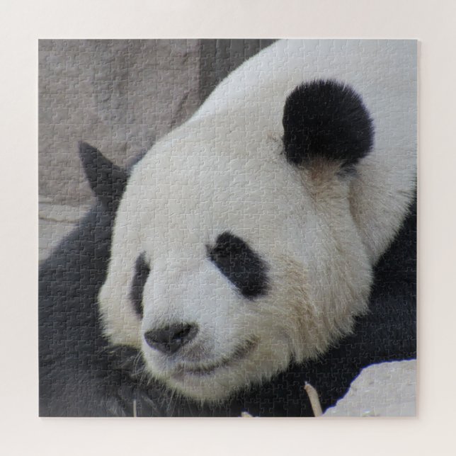 giant panda jigsaw puzzle (Horizontal)