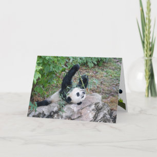 Giant Panda Just Chillaxin' Greeting Card