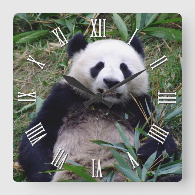 Giant Panda Keep Smiling, China Animals Square Wall Clock (Front)