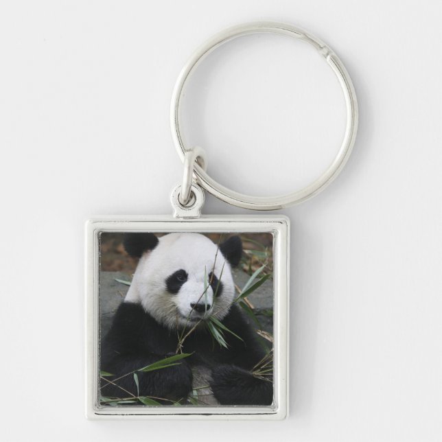 Giant panda key ring (Front)