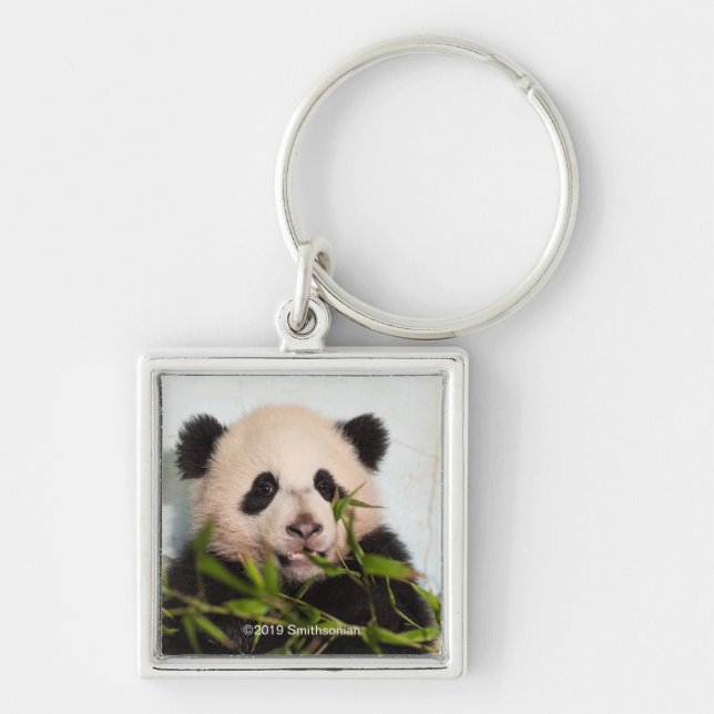 Giant Panda leaning Against Wall Key Ring (Front)