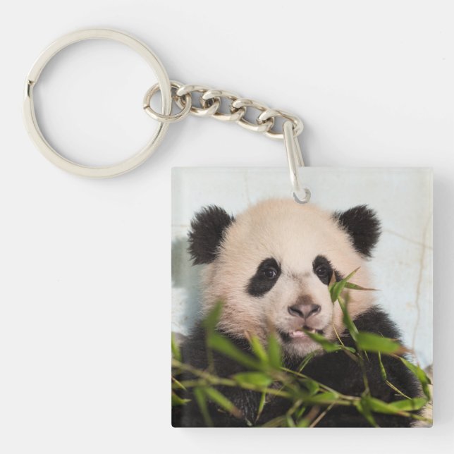 Giant Panda leaning Against Wall Key Ring (Front)