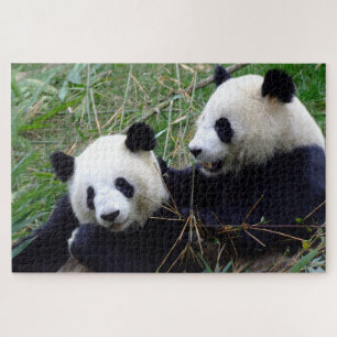 Giant Panda - Love & Bamboo /China Bears Jigsaw Puzzle