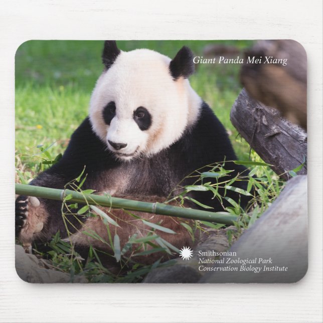Giant Panda Mei Xiang Mouse Mat (Front)