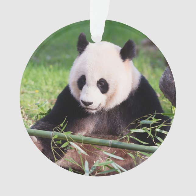 Giant Panda Mei Xiang Ornament (Front)