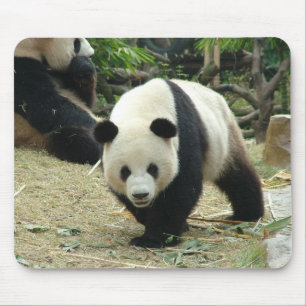 Giant panda mouse mat