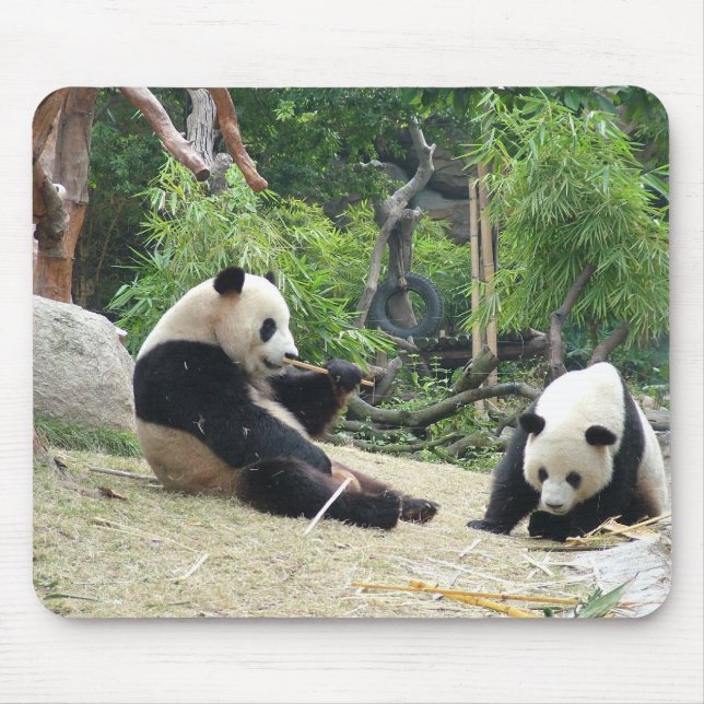 Giant panda mouse mat (Front)