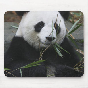Giant panda mouse mat
