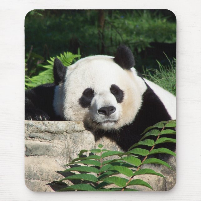 Giant Panda Napping Mouse Mat (Front)