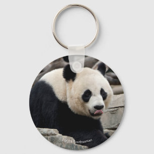Giant Panda on Rocks Key Ring