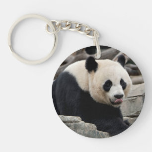 Giant Panda on Rocks Key Ring