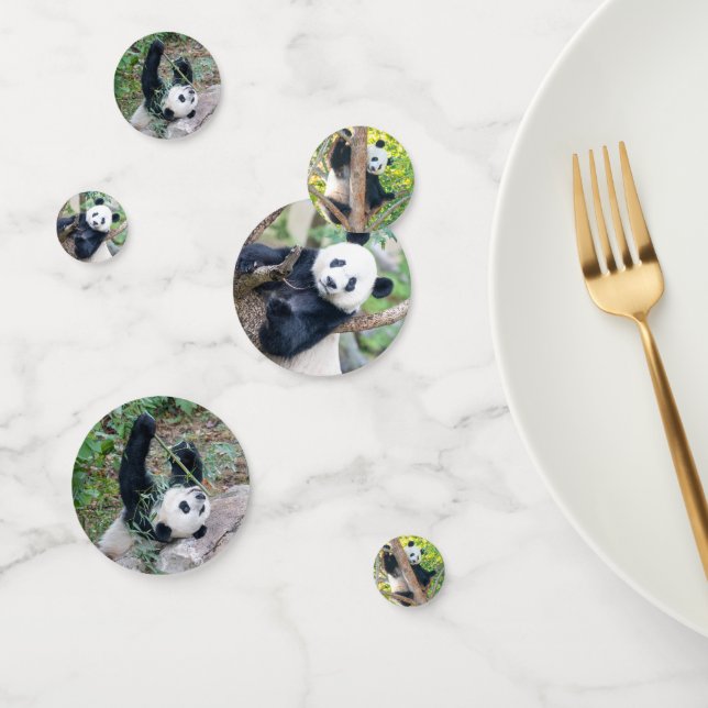 Giant Panda Pics Confetti (Group)