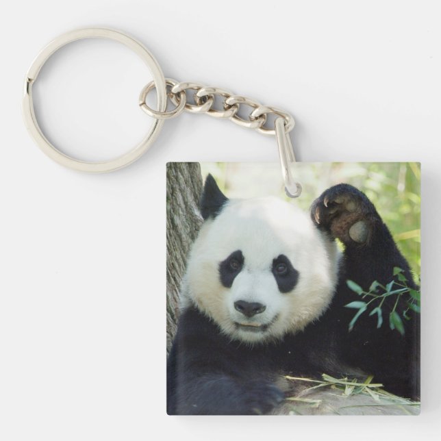 Giant Panda Resting Against Tree Key Ring (Front)