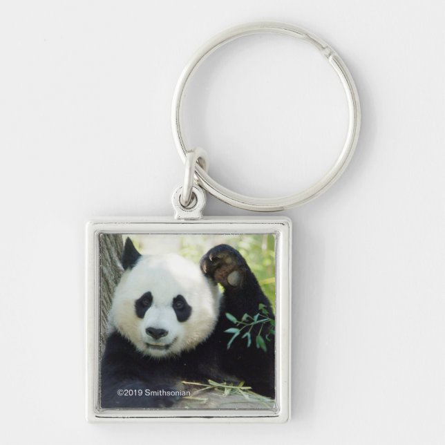 Giant Panda Resting Against Tree Key Ring (Front)