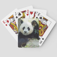 Giant Panda Resting Against Tree