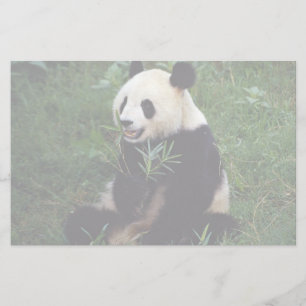Giant panda, Sichuan Province, China Stationery