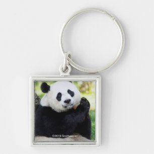 Giant Panda Sitting Key Ring