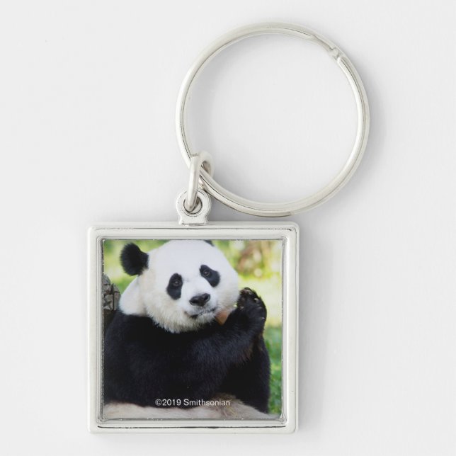 Giant Panda Sitting Key Ring (Front)