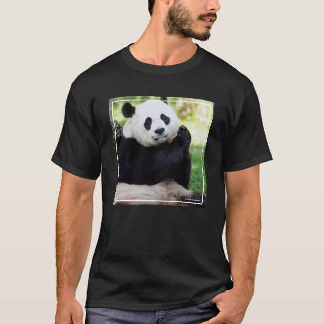Giant Panda Sitting T-Shirt (Front)