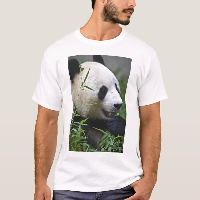 Giant Panda T-Shirt (Front)