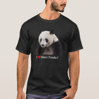 Giant Panda