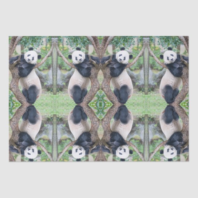 Giant Panda Tissue Paper / Decoupage Paper  (Front)