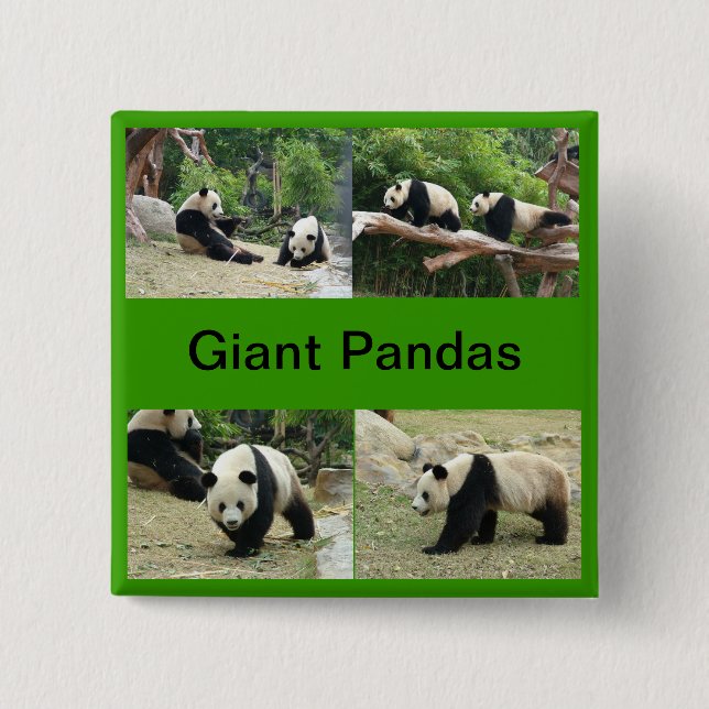 giant pandas 15 cm square badge (Front)